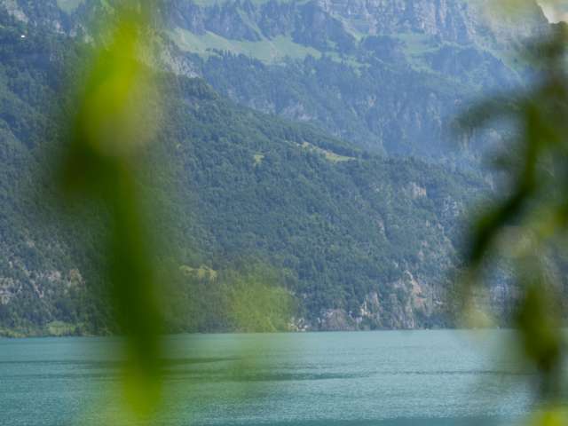 Erlebe Wassersport am Walensee mit SUP-, Kanu- und Kajakverleih