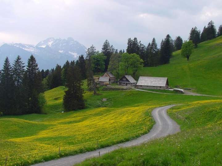 Alp Schrina